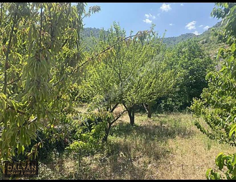 Kanuni Geçit Hakkı Bulunan Müstakil Tapulu 3 Ayrı Satılık Bahçe — fotoğraf 4
