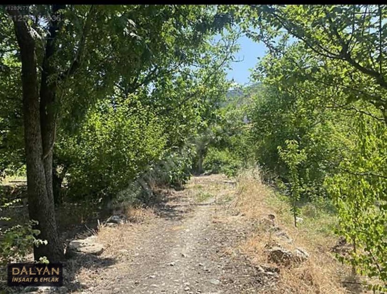 Kanuni Geçit Hakkı Bulunan Müstakil Tapulu 3 Ayrı Satılık Bahçe — fotoğraf 5
