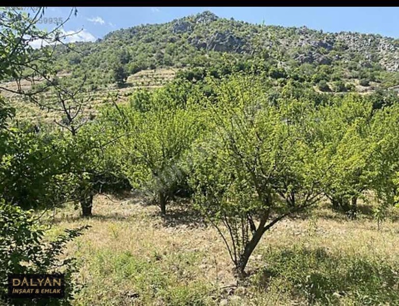 Kanuni Geçit Hakkı Bulunan Müstakil Tapulu 3 Ayrı Satılık Bahçe — fotoğraf 6
