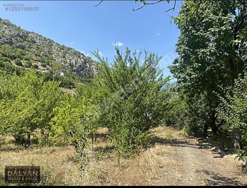 Kanuni Geçit Hakkı Bulunan Müstakil Tapulu 3 Ayrı Satılık Bahçe — fotoğraf 7