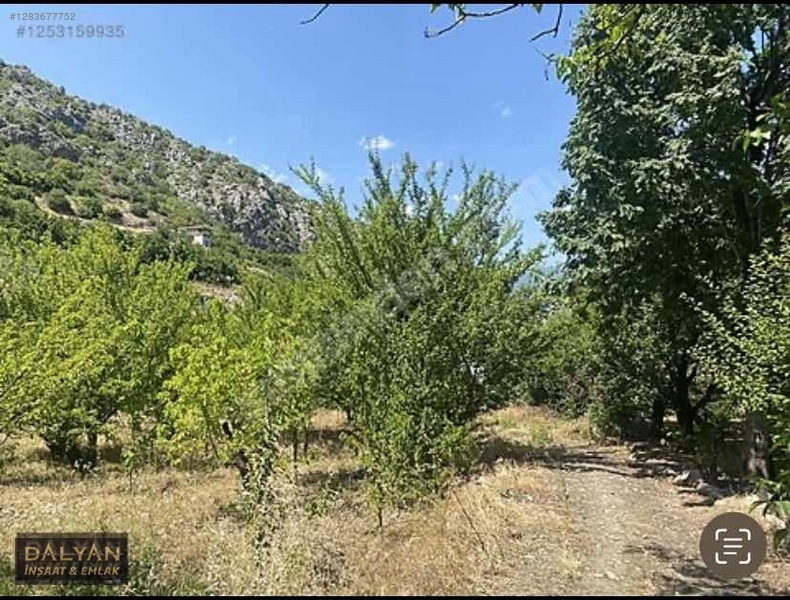 Kanuni Geçit Hakkı Bulunan Müstakil Tapulu 3 Ayrı Satılık Bahçe — fotoğraf 8