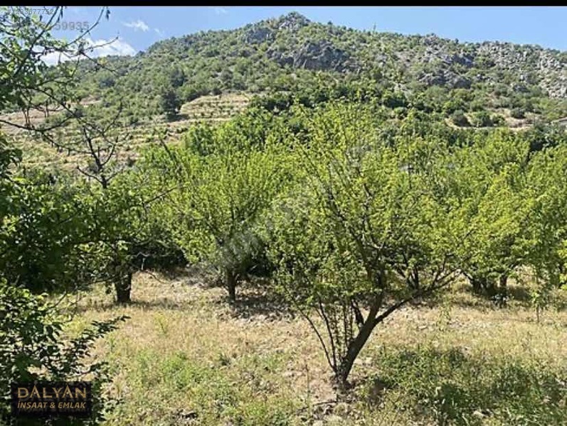 Kanuni Geçit Hakkı Bulunan Müstakil Tapulu 3 Ayrı Satılık Bahçe — fotoğraf 9