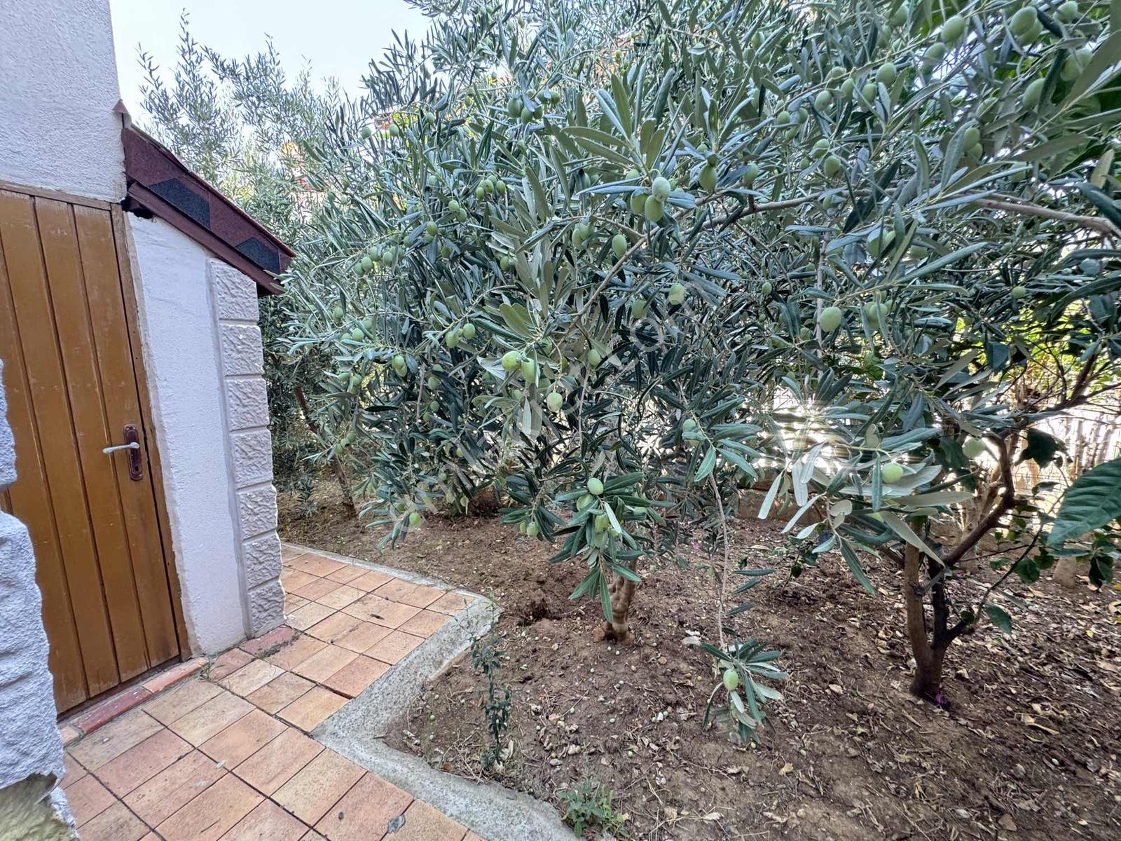 Altınkoy Tatil Sitesi Meydan Köy'De Satılık Bakımlı Villa — fotoğraf 34