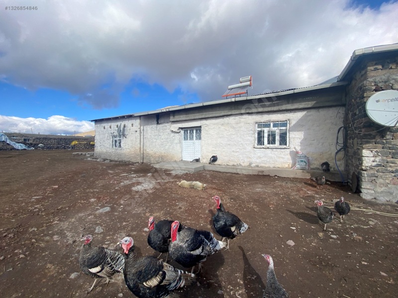 Göle Çobanköy Köyü'nde Satılık Arsa (h-1172) — fotoğraf 2