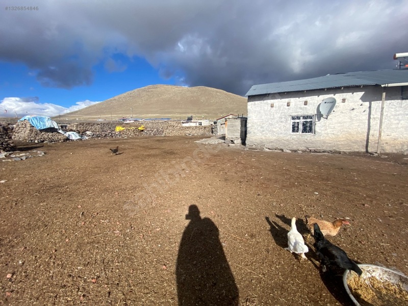 Göle Çobanköy Köyü'nde Satılık Arsa (h-1172) — fotoğraf 3