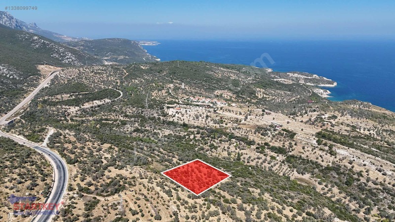 Satılık Deniz Manzaralı Tarla — fotoğraf 2