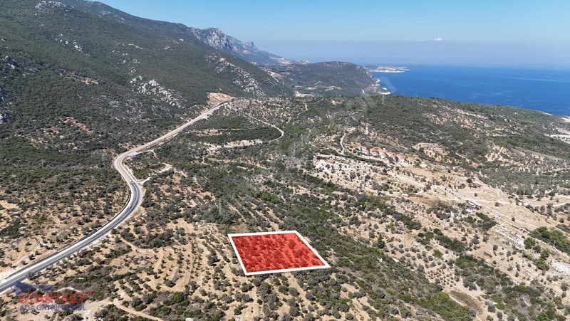 Satılık Deniz Manzaralı Tarla — fotoğraf 3