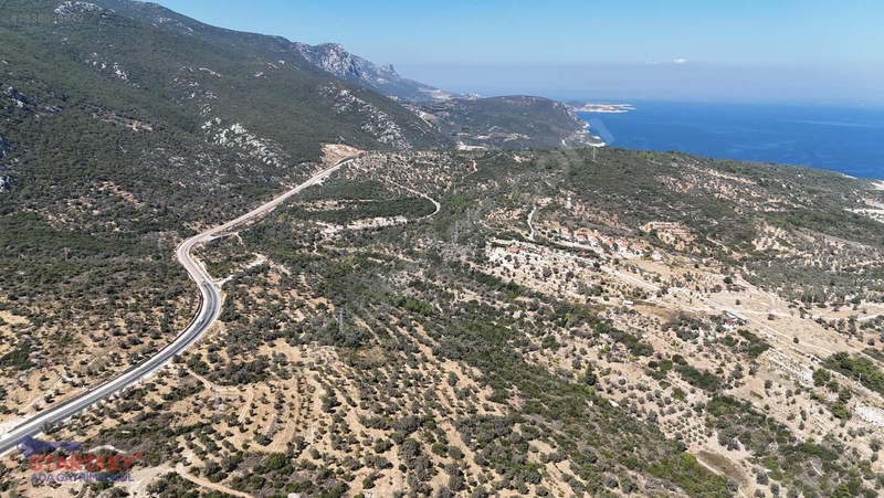 Satılık Deniz Manzaralı Tarla — fotoğraf 8