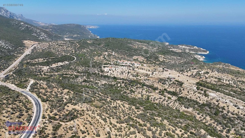 Satılık Deniz Manzaralı Tarla — fotoğraf 9