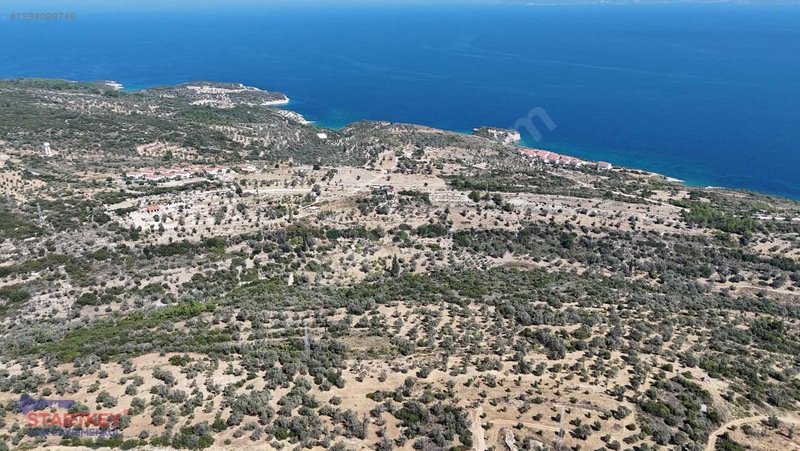 Satılık Deniz Manzaralı Tarla — fotoğraf 10
