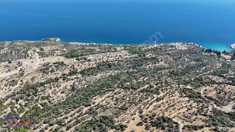 Satılık Deniz Manzaralı Tarla — fotoğraf 11