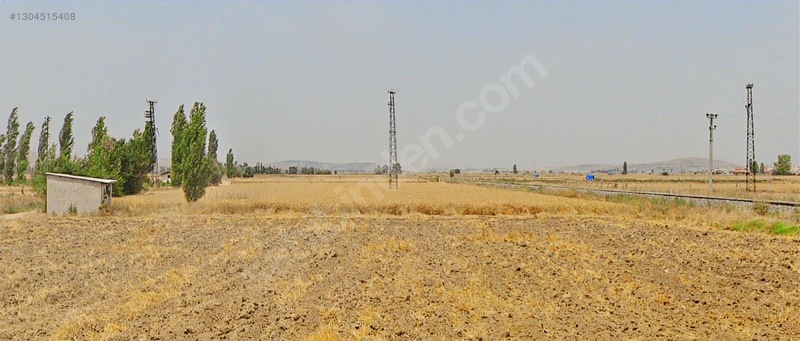 Tarım-seracılık-besicilik-mantar Üretimi Muhtelif Arazi Ve Arsa — fotoğraf 10