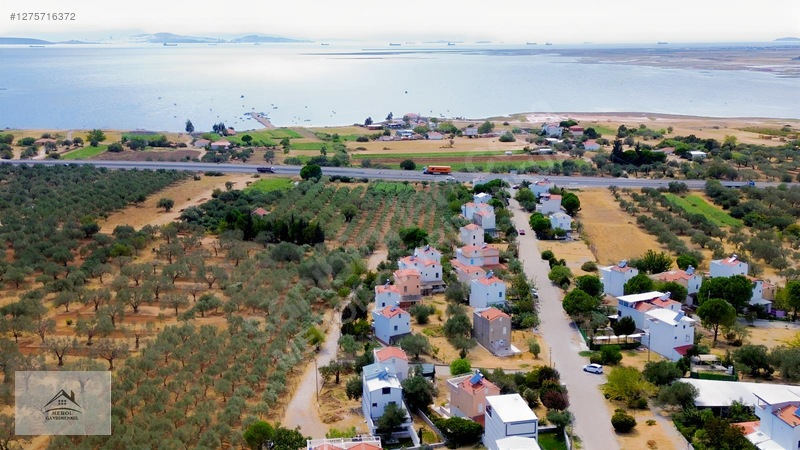 Bergama Zeytindağ'da 3.225 M² Satılık Verimli Zeytinlik — fotoğraf 2
