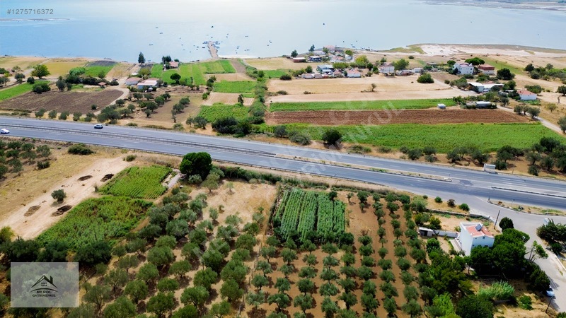 Bergama Zeytindağ'da 3.225 M² Satılık Verimli Zeytinlik — fotoğraf 6
