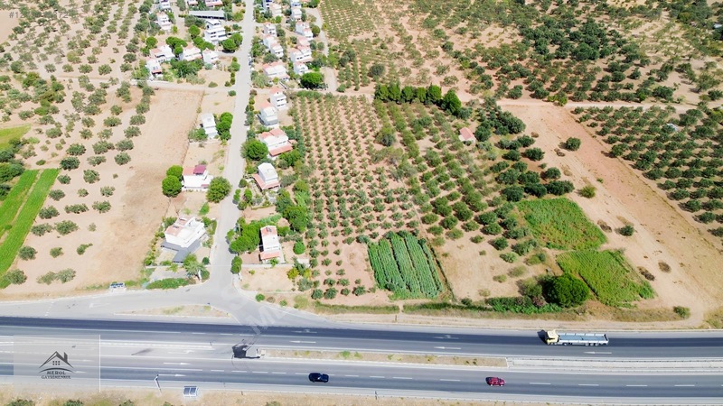 Bergama Zeytindağ'da 3.225 M² Satılık Verimli Zeytinlik — fotoğraf 8
