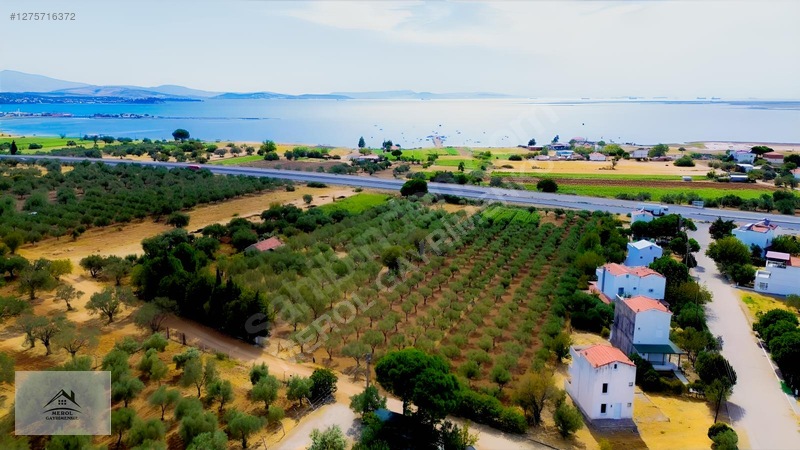 Bergama Zeytindağ'da 3.225 M² Satılık Verimli Zeytinlik — fotoğraf 11