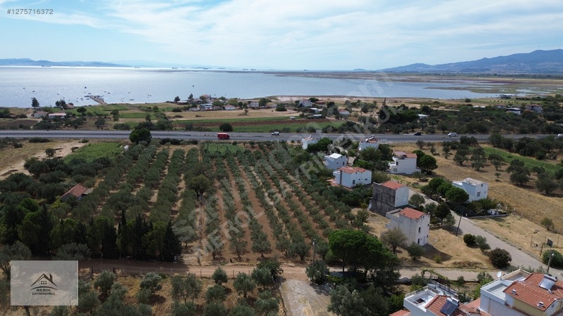 Bergama Zeytindağ'da 3.225 M² Satılık Verimli Zeytinlik — fotoğraf 12