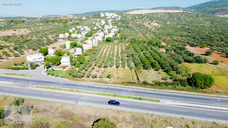 Bergama Zeytindağ'da 3.225 M² Satılık Verimli Zeytinlik — fotoğraf 17