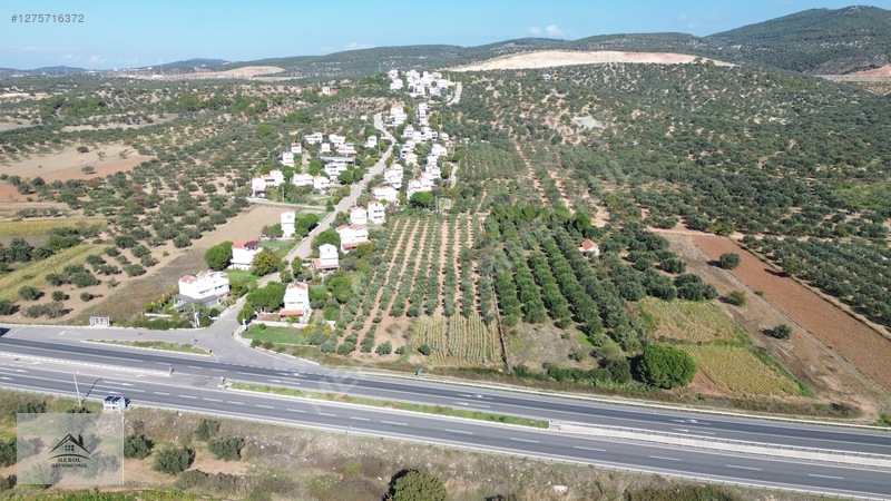 Bergama Zeytindağ'da 3.225 M² Satılık Verimli Zeytinlik — fotoğraf 18