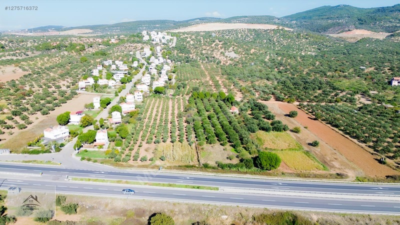 Bergama Zeytindağ'da 3.225 M² Satılık Verimli Zeytinlik — fotoğraf 19