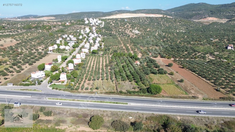 Bergama Zeytindağ'da 3.225 M² Satılık Verimli Zeytinlik — fotoğraf 20