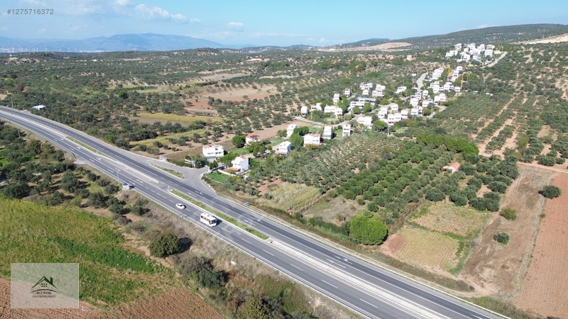 Bergama Zeytindağ'da 3.225 M² Satılık Verimli Zeytinlik — fotoğraf 21