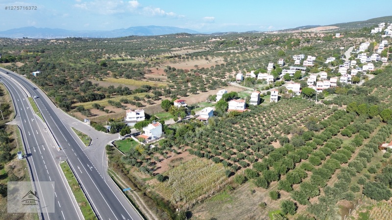 Bergama Zeytindağ'da 3.225 M² Satılık Verimli Zeytinlik — fotoğraf 22