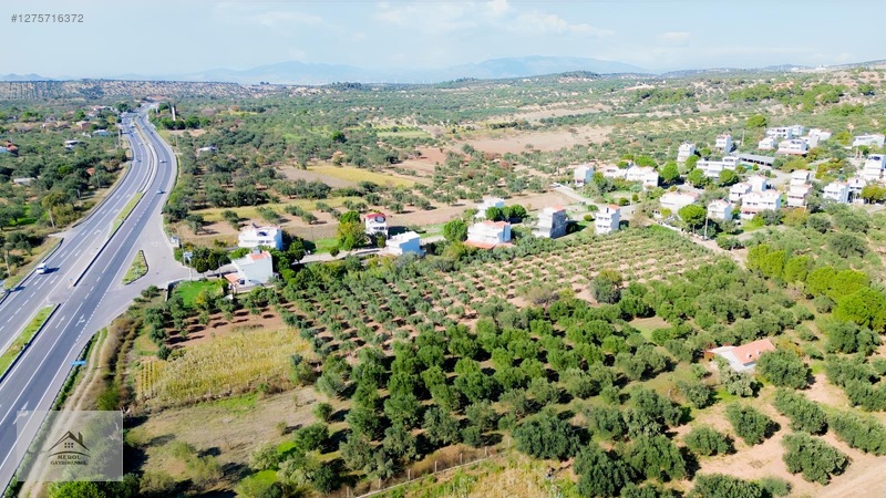 Bergama Zeytindağ'da 3.225 M² Satılık Verimli Zeytinlik — fotoğraf 23