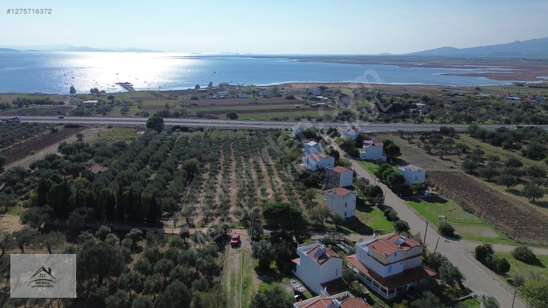 Bergama Zeytindağ'da 3.225 M² Satılık Verimli Zeytinlik — fotoğraf 24