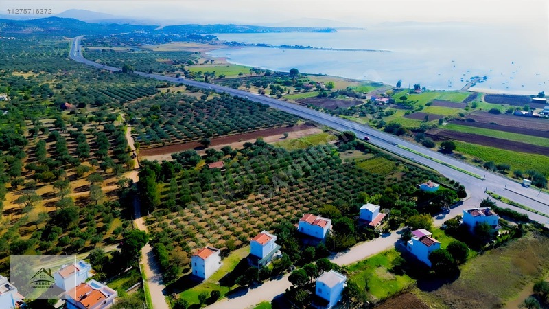 Bergama Zeytindağ'da 3.225 M² Satılık Verimli Zeytinlik — fotoğraf 45