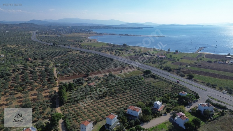 Bergama Zeytindağ'da 3.225 M² Satılık Verimli Zeytinlik — fotoğraf 46
