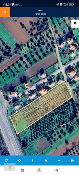 Bergama Zeytindağ'da 3.225 M² Satılık Verimli Zeytinlik — fotoğraf 49
