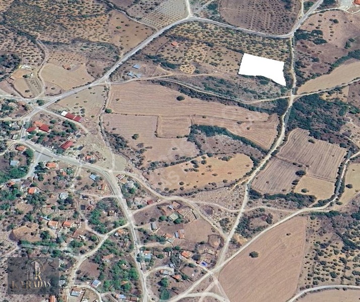 Yatırımlık Zeytinlik — fotoğraf 7