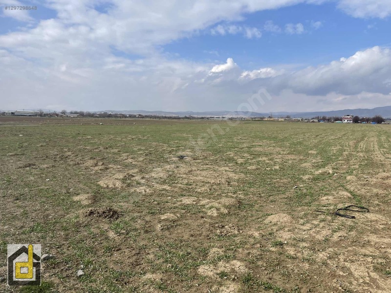 (detay)hoğu'da Resmi Yollu,manzaralı Köşe Parsel Tarla — fotoğraf 21