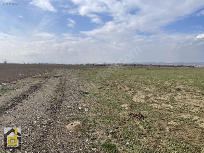 (detay)hoğu'da Resmi Yollu,manzaralı Köşe Parsel Tarla — fotoğraf 22
