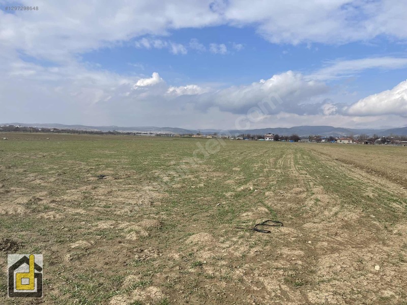 (detay)hoğu'da Resmi Yollu,manzaralı Köşe Parsel Tarla — fotoğraf 23