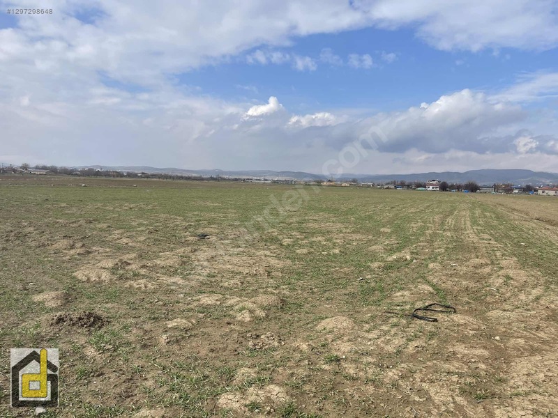 (detay)hoğu'da Resmi Yollu,manzaralı Köşe Parsel Tarla — fotoğraf 25