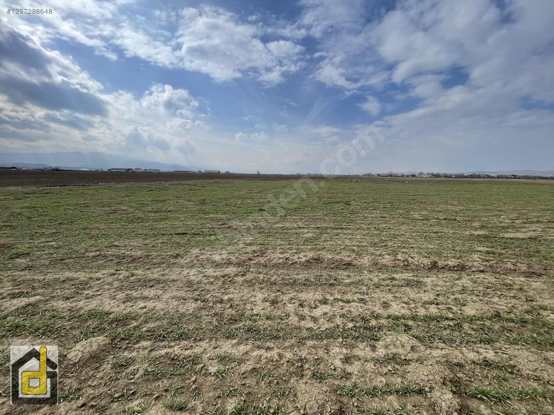 (detay)hoğu'da Resmi Yollu,manzaralı Köşe Parsel Tarla — fotoğraf 26