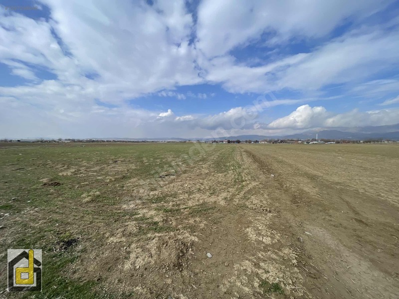 (detay)hoğu'da Resmi Yollu,manzaralı Köşe Parsel Tarla — fotoğraf 34
