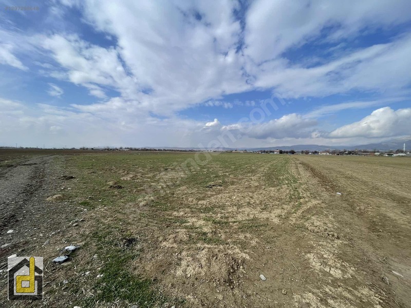 (detay)hoğu'da Resmi Yollu,manzaralı Köşe Parsel Tarla — fotoğraf 35