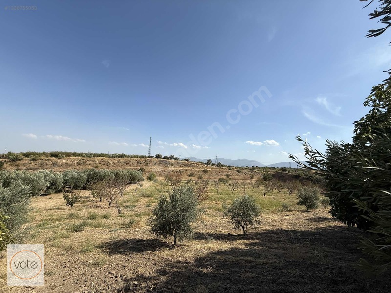 Sanayi'ye 800m, Otobana 700m, 70 Dönüm Satılık Tarla! — fotoğraf 4