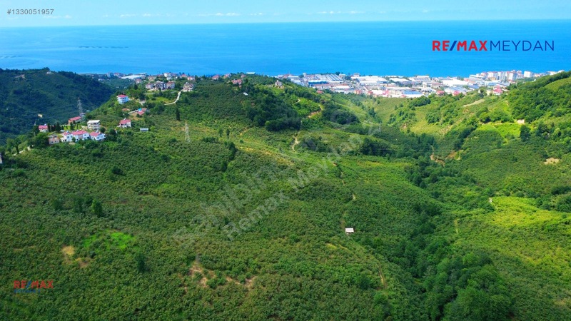 Arsinde Deniz Manzaralı, Eğimsiz 2.656 M² Satılık Arazi — fotoğraf 5
