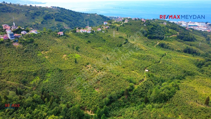 Arsinde Deniz Manzaralı, Eğimsiz 2.656 M² Satılık Arazi — fotoğraf 6
