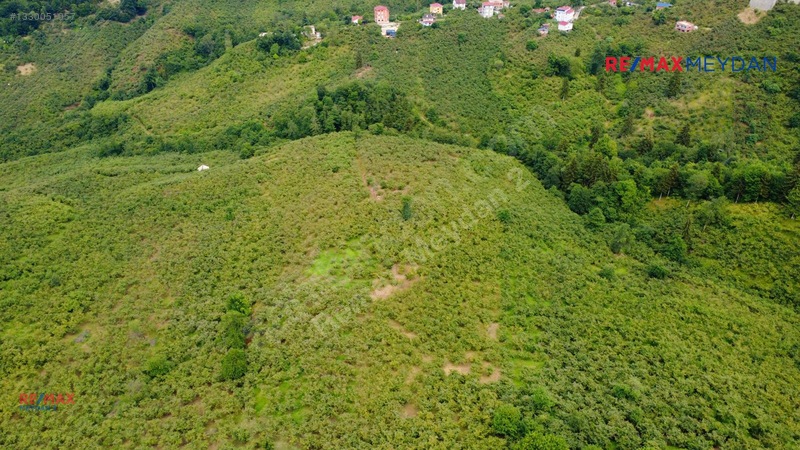 Arsinde Deniz Manzaralı, Eğimsiz 2.656 M² Satılık Arazi — fotoğraf 9