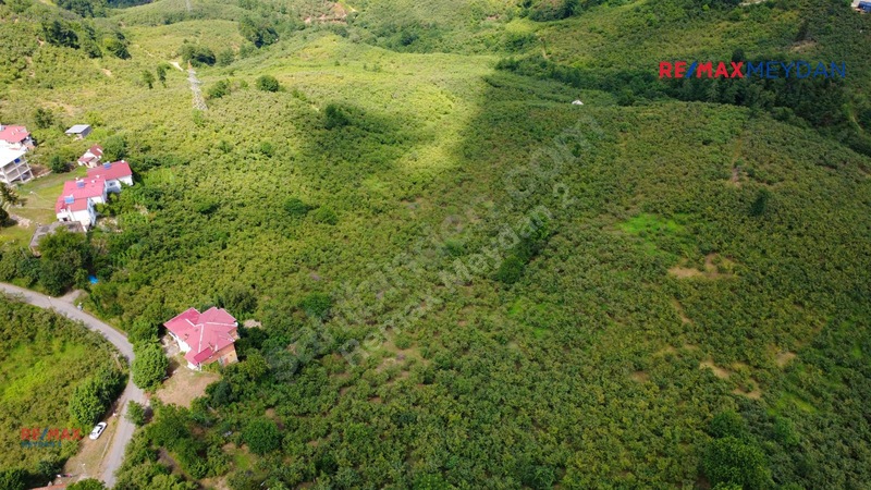 Arsinde Deniz Manzaralı, Eğimsiz 2.656 M² Satılık Arazi — fotoğraf 11