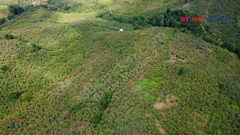 Arsinde Deniz Manzaralı, Eğimsiz 2.656 M² Satılık Arazi — fotoğraf 12