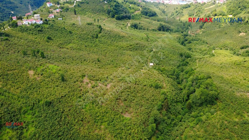 Arsinde Deniz Manzaralı, Eğimsiz 2.656 M² Satılık Arazi — fotoğraf 13