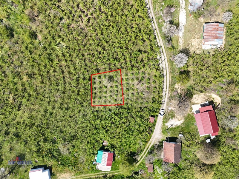 Bir Emlak Konuralp'te Çok Güzel Manzaraya Sahip Villalık Arsa — fotoğraf 8