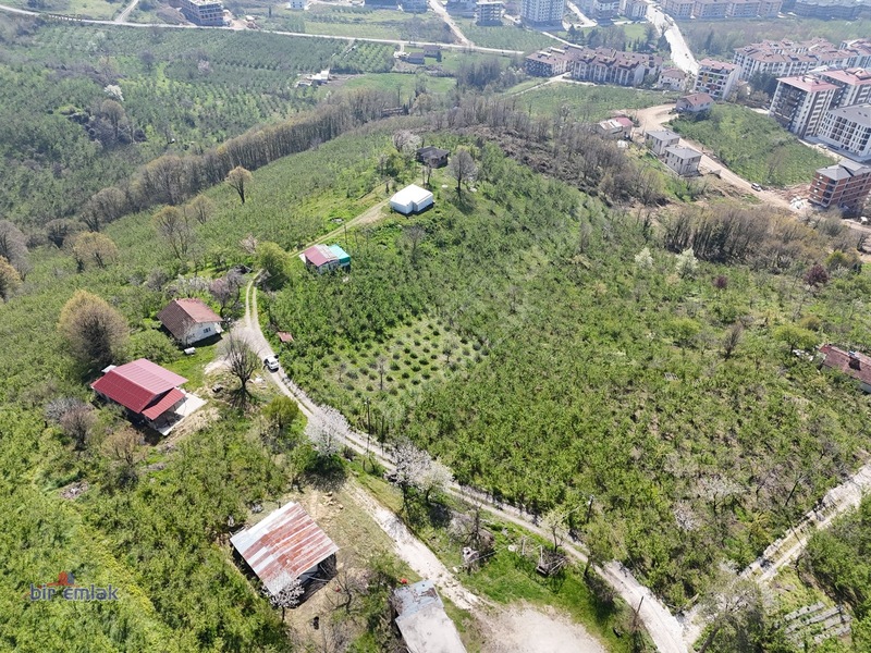 Bir Emlak Konuralp'te Çok Güzel Manzaraya Sahip Villalık Arsa — fotoğraf 9