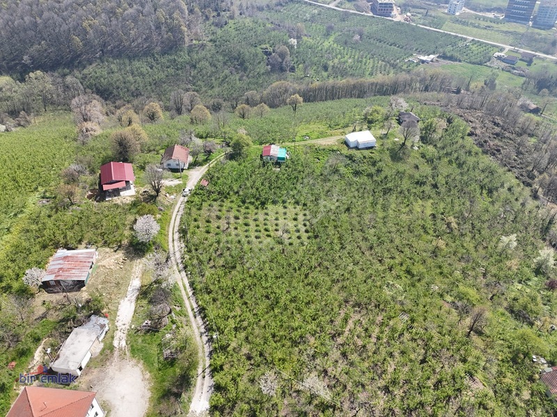 Bir Emlak Konuralp'te Çok Güzel Manzaraya Sahip Villalık Arsa — fotoğraf 10